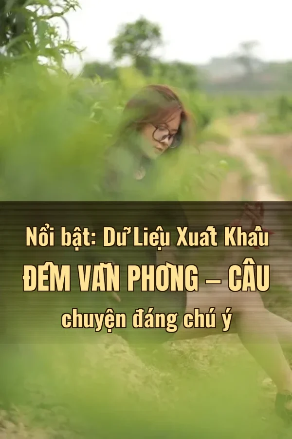 Nổi bật: Dữ Liệu Xuất Khẩu Đêm Văn Phòng — Câu chuyện đáng chú ý